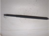  Амортизатор крышки багажника BMW 5 E60 2003-2009 20290536 #4