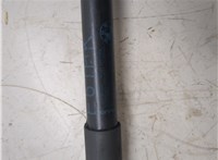  Амортизатор крышки багажника BMW 5 E60 2003-2009 20290536 #6