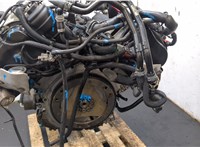 06E100035P Двигатель (ДВС) Audi Q7 2005-2015 20290621 #8