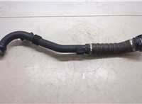 8200852008 Патрубок интеркулера Renault Laguna 3 2007- 20291039 #5