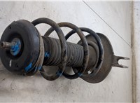  Амортизатор подвески Citroen C3 2002-2009 20291175 #6