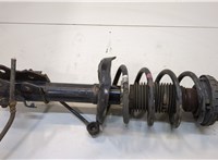  Амортизатор подвески Honda Civic 2006-2012 20292247 #1
