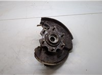  Ступица (кулак, цапфа) Mitsubishi Pajero / Montero 2000-2006 20292302 #1