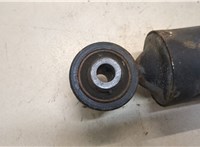  Амортизатор подвески Lexus NX 20292335 #2