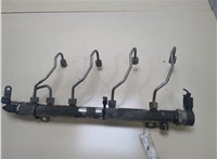  Рампа (рейка) топливная Mercedes Vito W639 2004-2013 20292541 #1