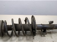  Амортизатор подвески Volkswagen Transporter 5 2003-2009 20292721 #1