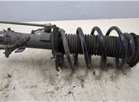  Амортизатор подвески Ford Focus 3 2014-2019 20293465 #1