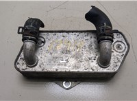  Теплообменник Volkswagen Passat CC 2012-2017 20293601 #1