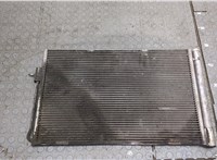 20842140 Радиатор кондиционера Chevrolet Volt 2010-2015 20293973 #1