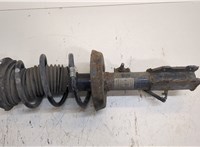  Амортизатор подвески Ford Transit (Tourneo) Connect 2002-2013 20294150 #1