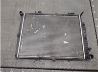  Радиатор охлаждения двигателя Mercedes E W210 1995-2002 20294217 #1