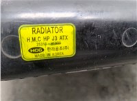  Радиатор охлаждения двигателя Hyundai Terracan 20294250 #6