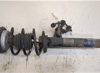  Амортизатор подвески BMW 3 E90, E91, E92, E93 2005-2012 20294433 #1