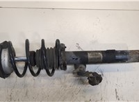  Амортизатор подвески BMW 3 E90, E91, E92, E93 2005-2012 20294445 #1