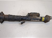  Амортизатор подвески Mercedes GL X164 2006-2012 20295011 #1