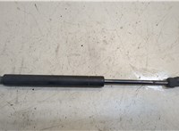  Амортизатор капота Nissan Titan 2003-2007 20295102 #1