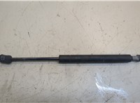  Амортизатор капота Nissan Titan 2003-2007 20295104 #1