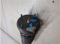 C2Z18562, C2Z5524 Амортизатор подвески Jaguar XF 2007-2015 20295108 #7