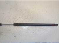  Амортизатор крышки багажника Lincoln Navigator 2002-2006 20295117 #1