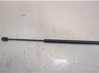  Амортизатор стекла багажника Lincoln Navigator 2002-2006 20295121 #1