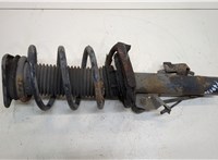  Амортизатор подвески Ford Focus 2 2008-2011 20295241 #1