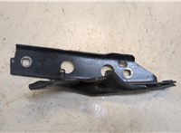  Петля капота Audi A6 (C7) 2011-2014 20295263 #1