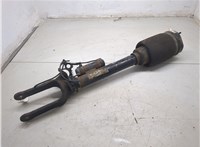 A1643205813 Амортизатор подвески Mercedes GL X164 2006-2012 20295287 #7