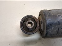  Амортизатор подвески Opel Antara 20295292 #2