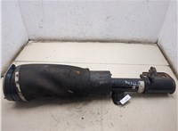 RNB000740 Амортизатор подвески Land Rover Range Rover 3 (LM) 2002-2012 20295425 #1