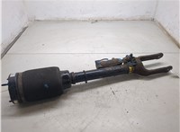 A1643205813 Амортизатор подвески Mercedes GL X164 2006-2012 20295429 #5