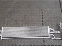  Радиатор масляный Buick Encore GX 2024- 20295479 #1