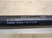 811813M001 Амортизатор капота Hyundai Genesis 2008-2013 20295595 #2