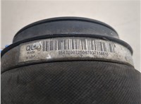 A1663200325 Пневмоподушка Mercedes GL X164 2006-2012 20296620 #12