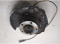 33326774809, 6774809, 33416760056, 6760056 Ступица (кулак, цапфа) BMW 3 E90, E91, E92, E93 2005-2012 20296750 #4