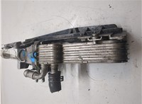  Охладитель отработанных газов Volkswagen Touran 2003-2006 20297121 #1