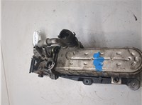  Охладитель отработанных газов Volkswagen Touran 2003-2006 20297121 #2