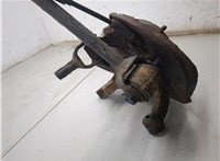  Ступица (кулак, цапфа) Hyundai Tucson 1 2004-2009 20297341 #5