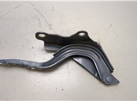  Петля капота Hyundai Elantra 2013-2016 20298326 #1