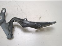 1673016 Петля капота Ford Fiesta 2008-2013 20298331 #1