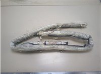  Подушка безопасности боковая (шторка) Renault Laguna 2 2001-2007 20298702 #1