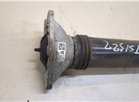  Амортизатор подвески BMW X1 U11, U12 2022- 20298744 #2
