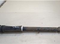  Амортизатор подвески BMW X1 U11, U12 2022- 20298751 #1