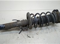  Амортизатор подвески Skoda Fabia 2007-2010 20298984 #1