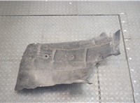  Защита арок (подкрылок) Renault Scenic 2009-2012 20299159 #2