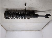 37116796926, 6796926, 31336786765 Амортизатор подвески BMW 7 F01 2008-2015 20299209 #6