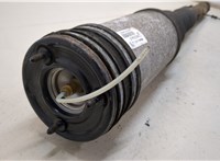  Амортизатор подвески Mercedes S W220 1998-2005 20299239 #2