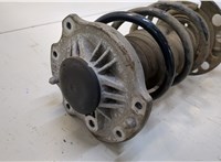  Амортизатор подвески BMW X1 U11, U12 2022- 20299362 #2