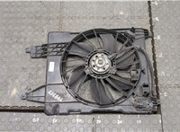  Вентилятор радиатора Renault Scenic 2003-2009 20299485 #1