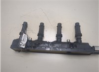  Катушка зажигания Opel Meriva 2010- 20299531 #1