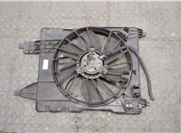  Вентилятор радиатора Renault Scenic 2003-2009 20299579 #1
